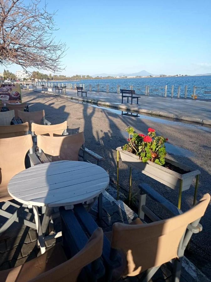 Bright Apartment In Nea Palatia • Oropos Экстерьер фото